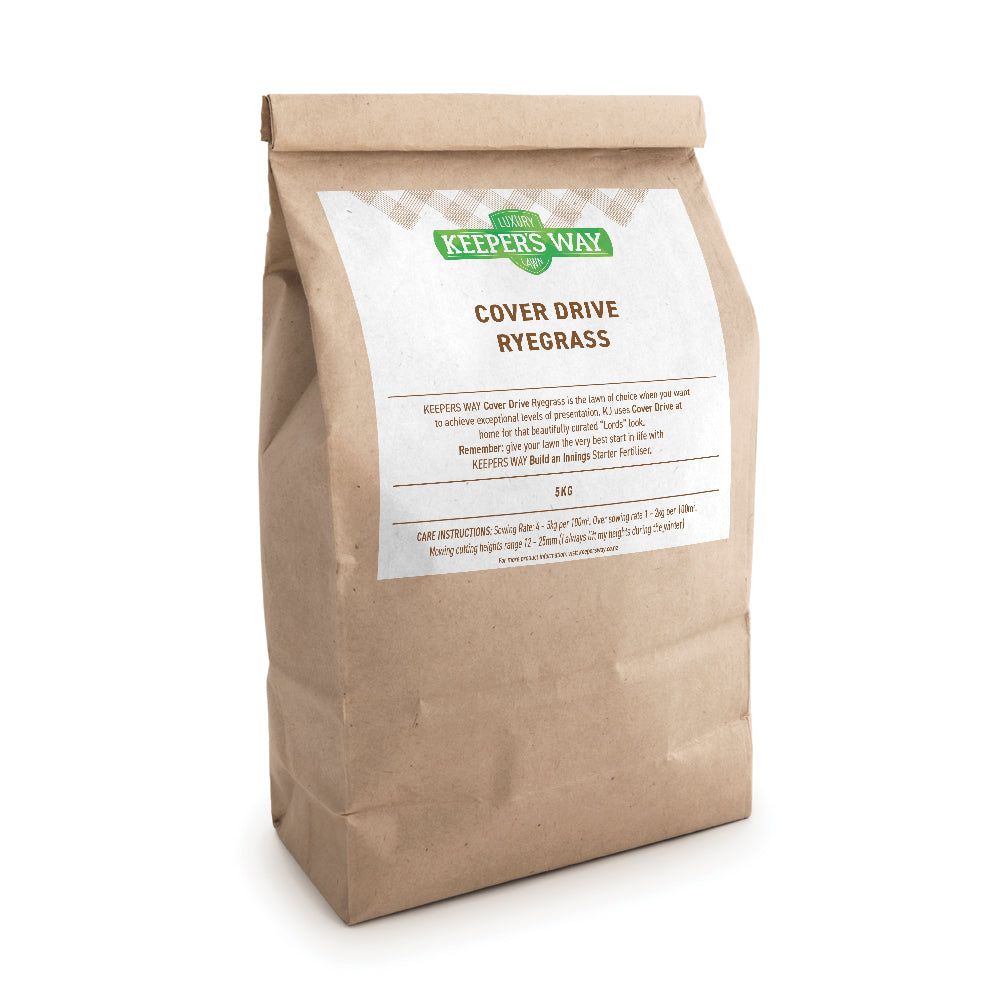 Cover Drive Ryegrass